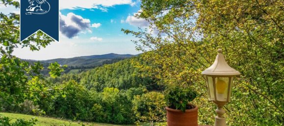 1790m² Commercial property in Montieri, Italy No. 17568 20