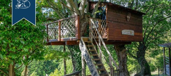 1790m² Commercial property in Montieri, Italy No. 17568 18