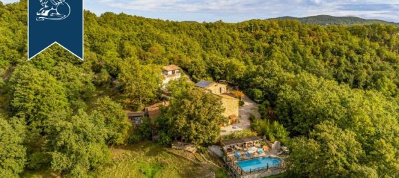 1790m² Commercial property in Montieri, Italy No. 17568 3