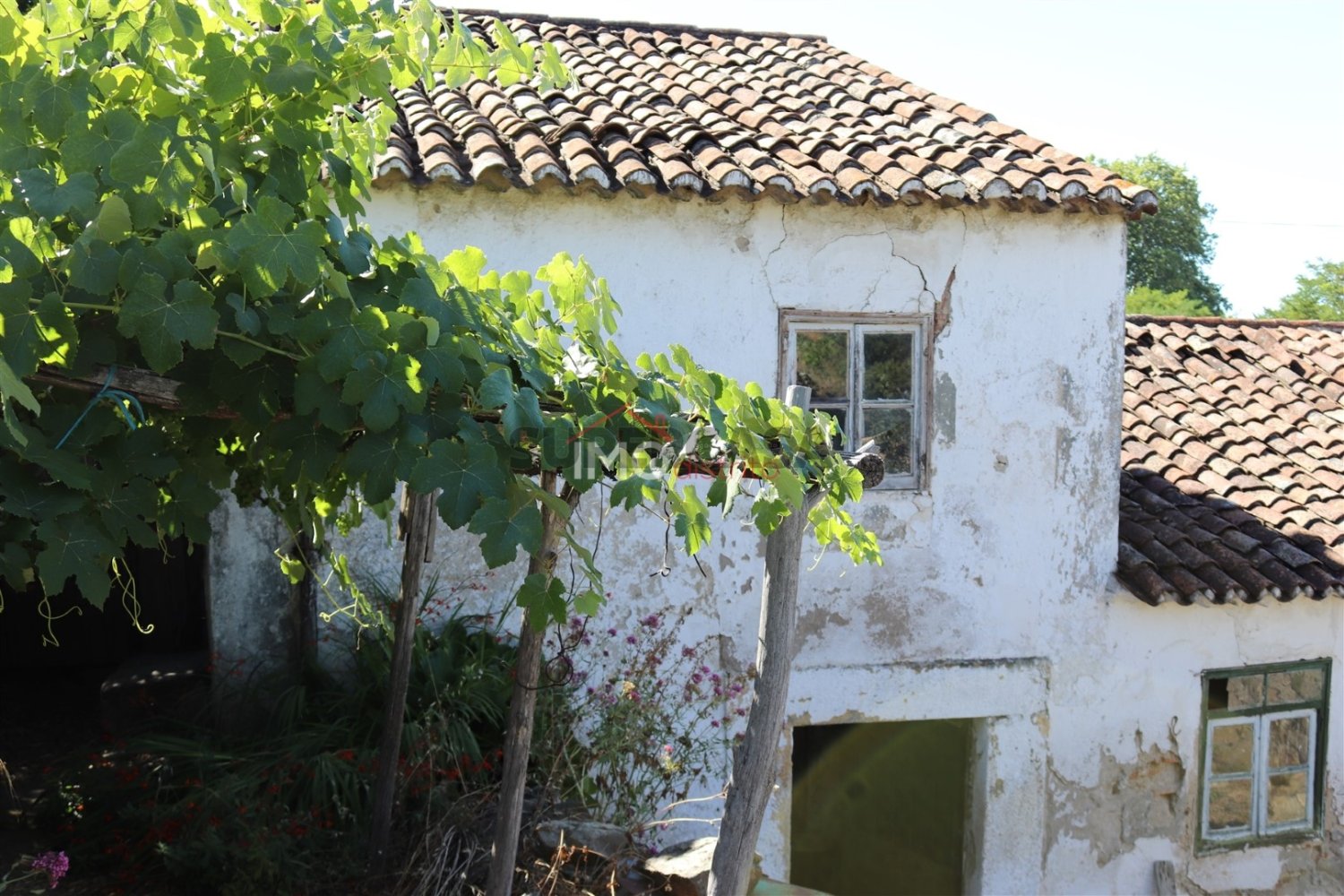 7 غرف نوم منزل في Castelo de Vide, Portugal رقم 234106