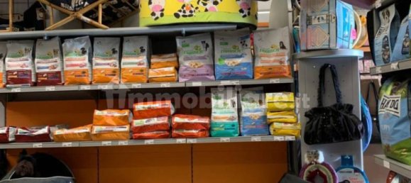 5 rooms Commercial property in Ivrea, Italy No. 173972 3