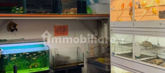 5 rooms Commercial property in Ivrea, Italy No. 173972 12