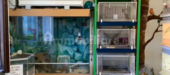 5 rooms Commercial property in Ivrea, Italy No. 173972 11