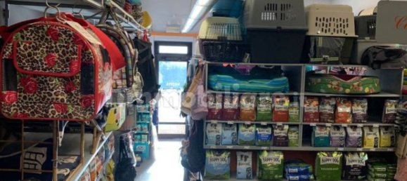 5 rooms Commercial property in Ivrea, Italy No. 173972 15