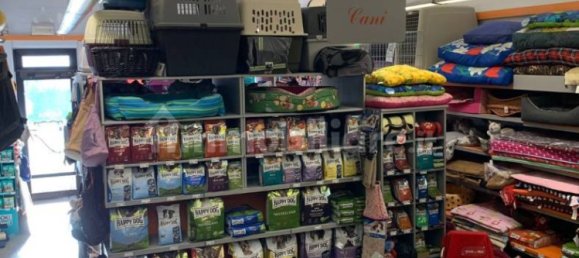 5 rooms Commercial property in Ivrea, Italy No. 173972 14