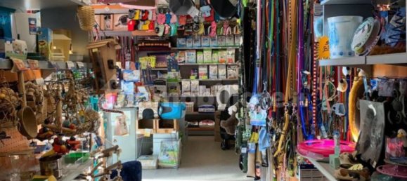 5 rooms Commercial property in Ivrea, Italy No. 173972 20