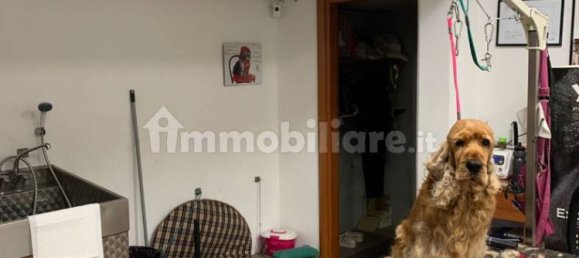 5 rooms Commercial property in Ivrea, Italy No. 173972 49
