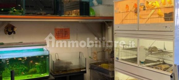 5 rooms Commercial property in Ivrea, Italy No. 173972 9