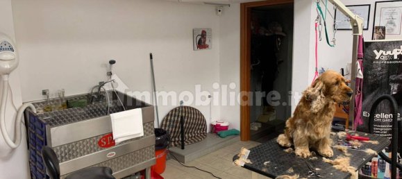 5 rooms Commercial property in Ivrea, Italy No. 173972 50