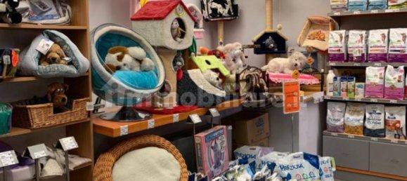 5 rooms Commercial property in Ivrea, Italy No. 173972 4