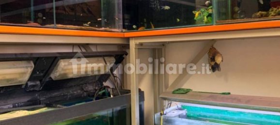 5 rooms Commercial property in Ivrea, Italy No. 173972 8