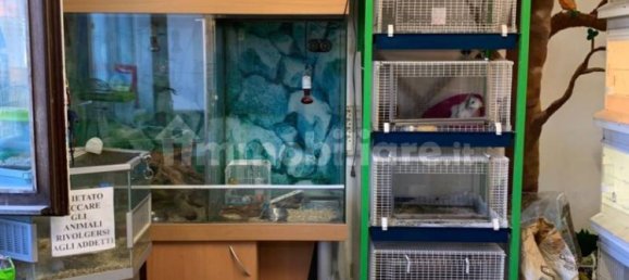 5 rooms Commercial property in Ivrea, Italy No. 173972 10