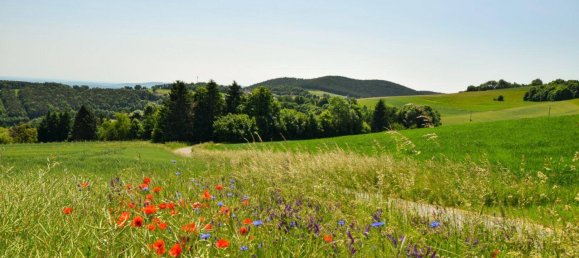 5 rooms House in Oberwart, Austria No. 242821 4