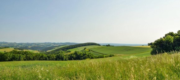 5 rooms House in Oberwart, Austria No. 242821 37