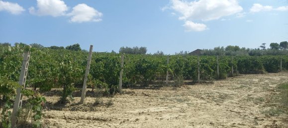 3 chambres Maison à Offida, Italy No. 142059 14