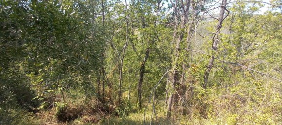 3 chambres Maison à Offida, Italy No. 142059 25