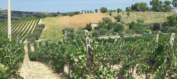 3 chambres Maison à Offida, Italy No. 142059 22