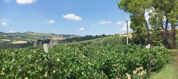 3 chambres Maison à Offida, Italy No. 142059 20