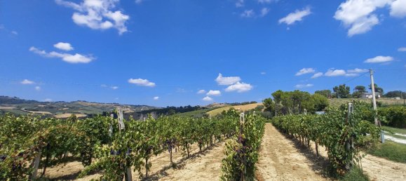 3 chambres Maison à Offida, Italy No. 142059 12
