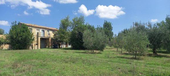 3 chambres Maison à Offida, Italy No. 142059 2