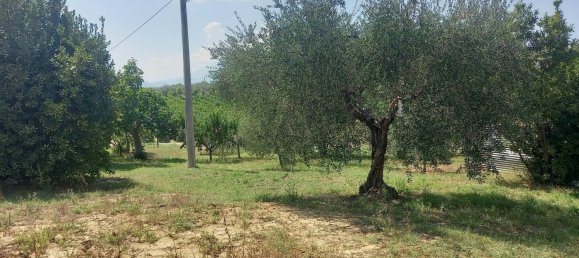 3 chambres Maison à Offida, Italy No. 142059 3