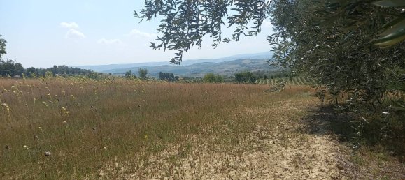 3 chambres Maison à Offida, Italy No. 142059 11