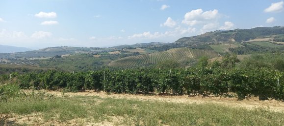 3 chambres Maison à Offida, Italy No. 142059 10