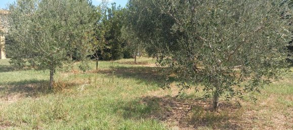 3 chambres Maison à Offida, Italy No. 142059 8