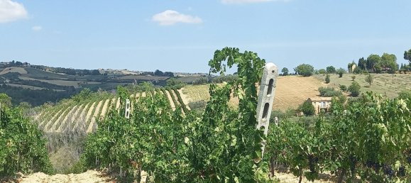 3 chambres Maison à Offida, Italy No. 142059 23