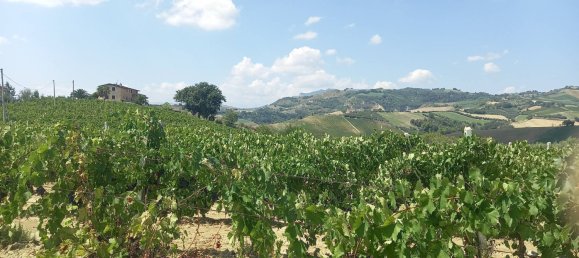 3 chambres Maison à Offida, Italy No. 142059 21