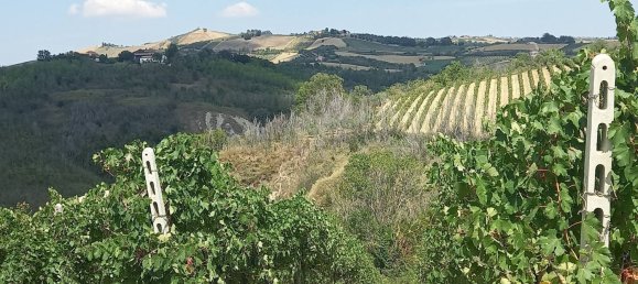 3 chambres Maison à Offida, Italy No. 142059 24