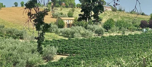 3 chambres Maison à Offida, Italy No. 142059 27