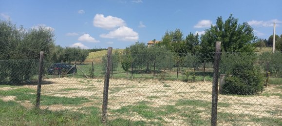 3 chambres Maison à Offida, Italy No. 142059 19