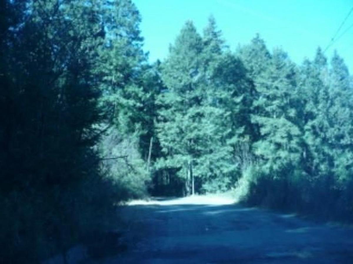  Land in Naucalpan de Juarez, Mexico No. 203628