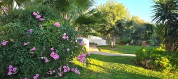 Apartamento T3 em Alcudia, Spain N.º 54661 10