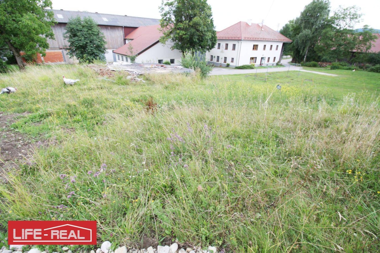 894m² Land in Weibern, Austria No. 145749