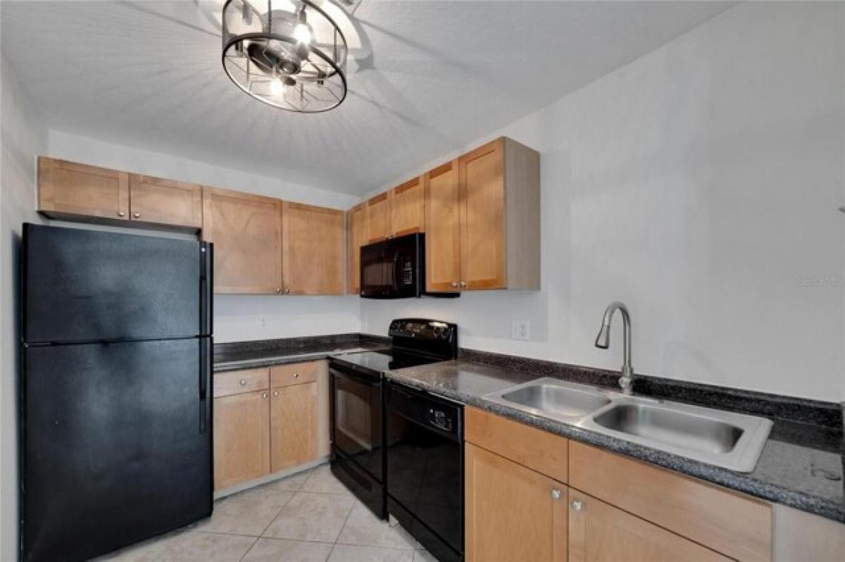 Studio à Saint Petersburg, USA No. 374820