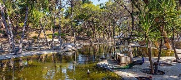 Penthouse T2 em Guardamar del Segura, Spain N.º 16480 19