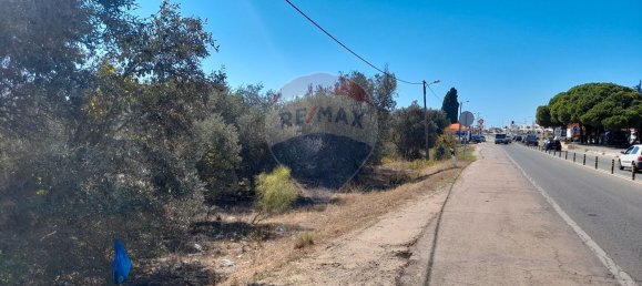 7200m² Land in Silves, Portugal No. 82823 4