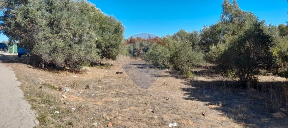 7200m² Land in Silves, Portugal No. 82823 6