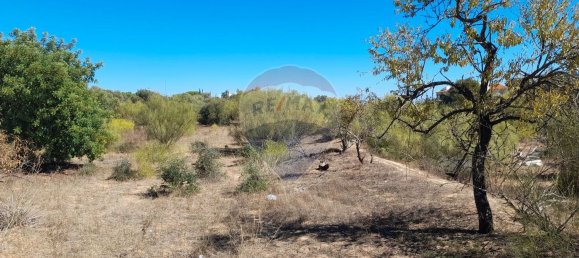 7200m² Land in Silves, Portugal No. 82823 3