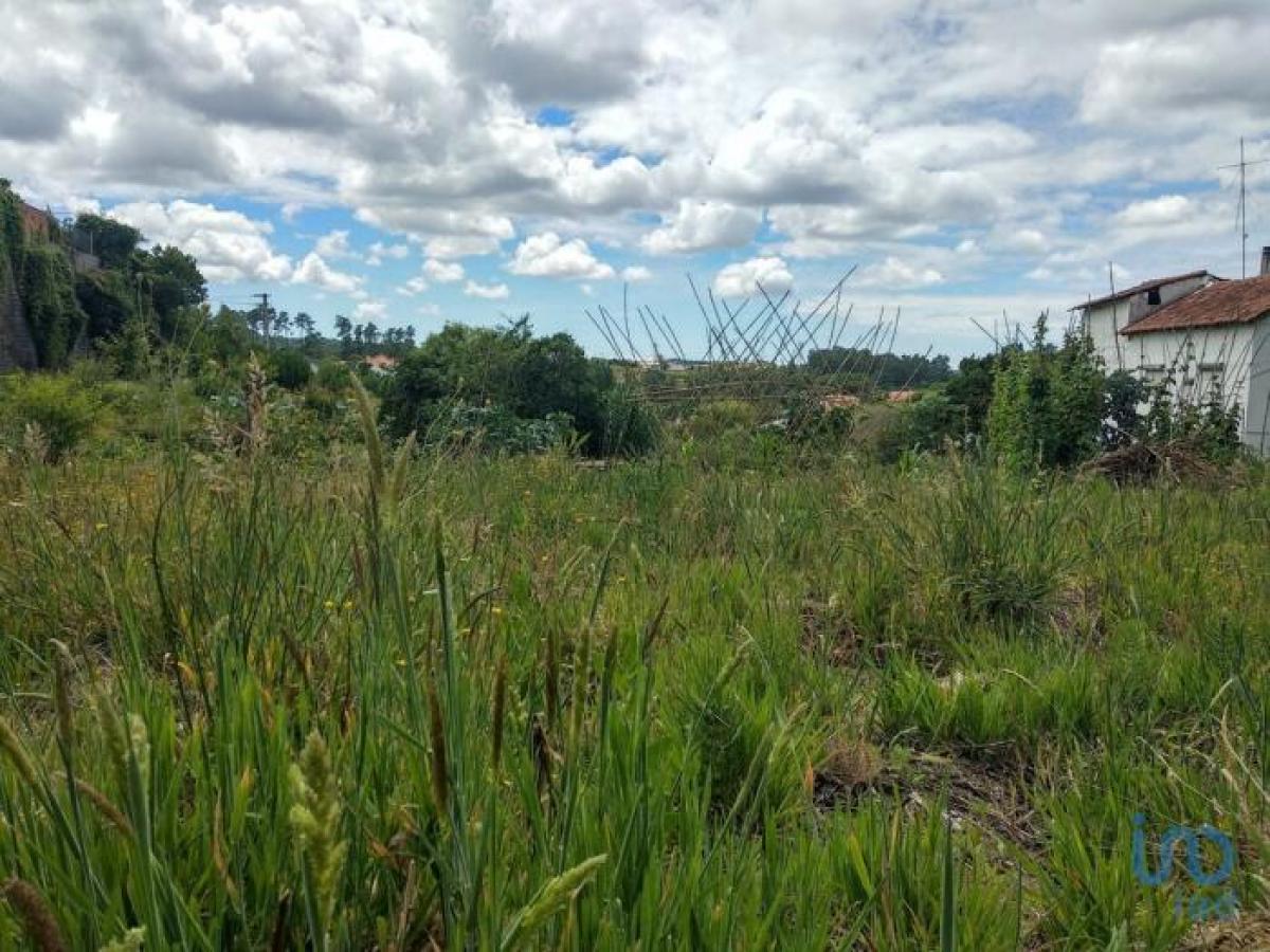 Grundstück in Leiria, Portugal, Nr. 2150