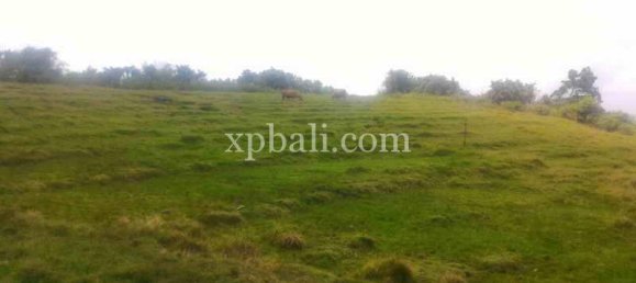  قطعة أرض في Tabanan, Indonesia 3780متر مربع رقم 3816 5