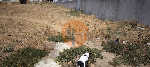 Земельный участок в Вила Нова де Касела, Португалия № 145438 8