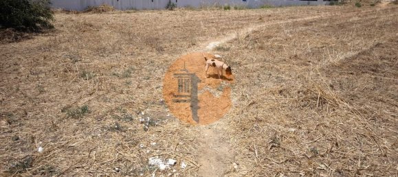 Земельный участок в Вила Нова де Касела, Португалия № 145438 15