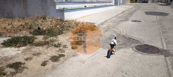 Земельный участок в Вила Нова де Касела, Португалия № 145438 7