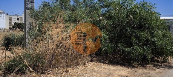 Земельный участок в Вила Нова де Касела, Португалия № 145438 4