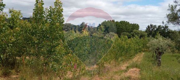 Grundstück in Beco, Portugal 1880m², Nr. 73037 5