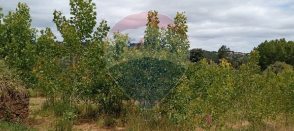 Grundstück in Beco, Portugal 1880m², Nr. 73037 3