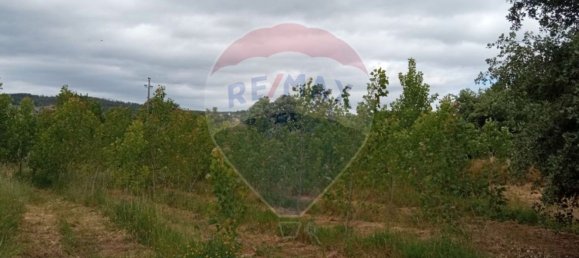 Grundstück in Beco, Portugal 1880m², Nr. 73037 8